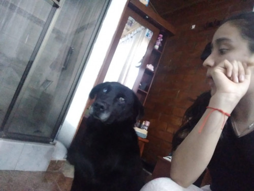 Negro