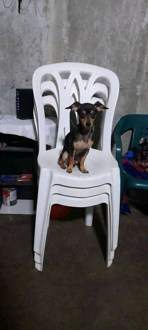 Iker Muñoz