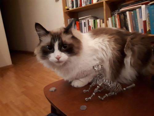 Gustave
