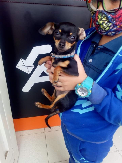 Nikita