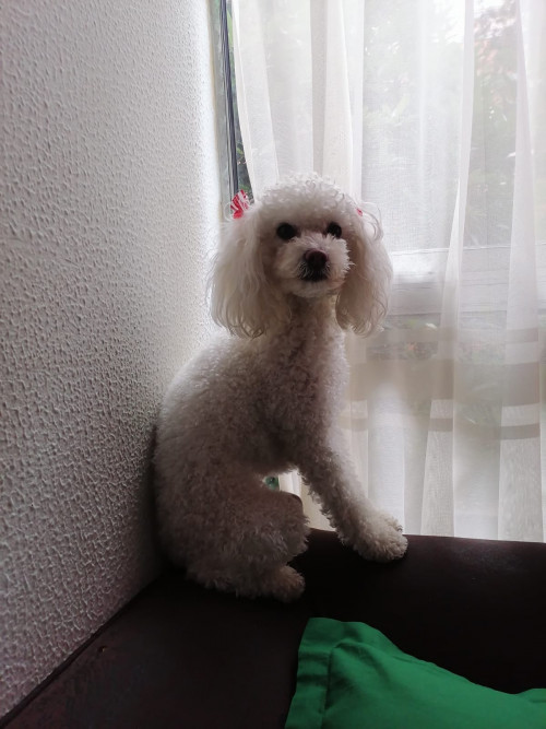 Molly
