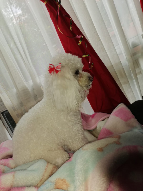Molly