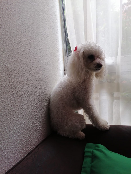 Molly
