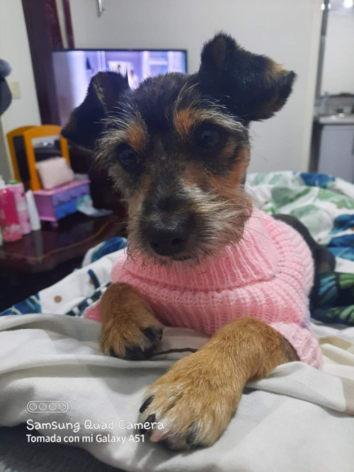 Linda