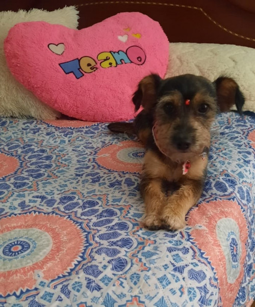 Linda