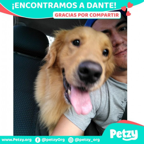 Foto de mascota Dante