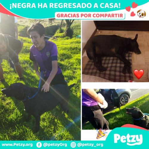 Foto de mascota Negra