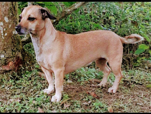 Lupita 