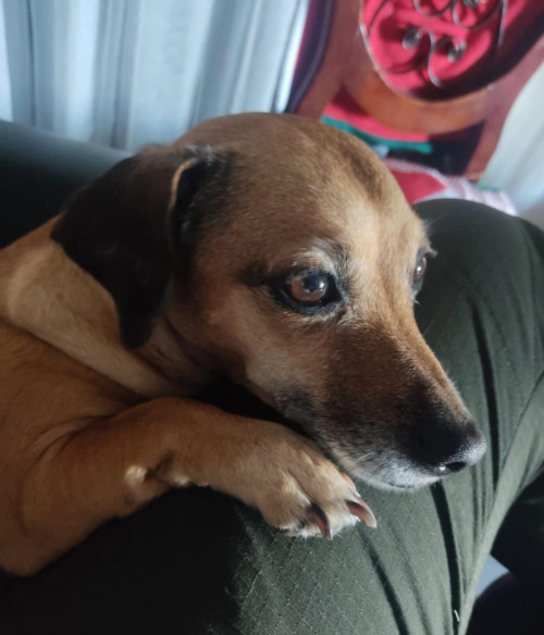 Lupita 