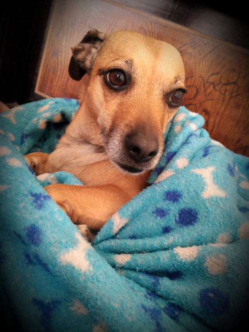 Lupita 