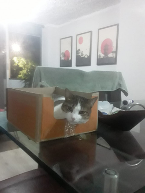 Luni