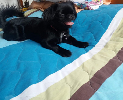 Lupita