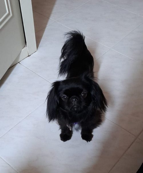 Lupita