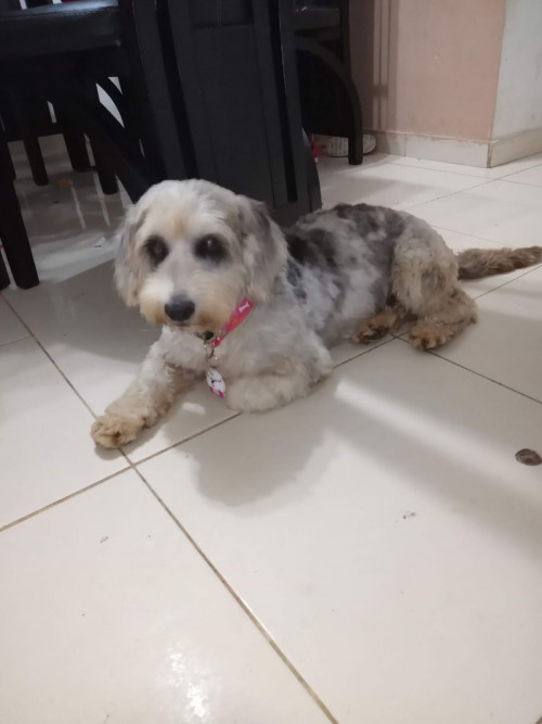 Luna