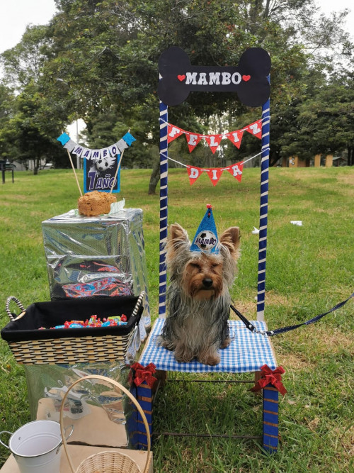 Mambo
