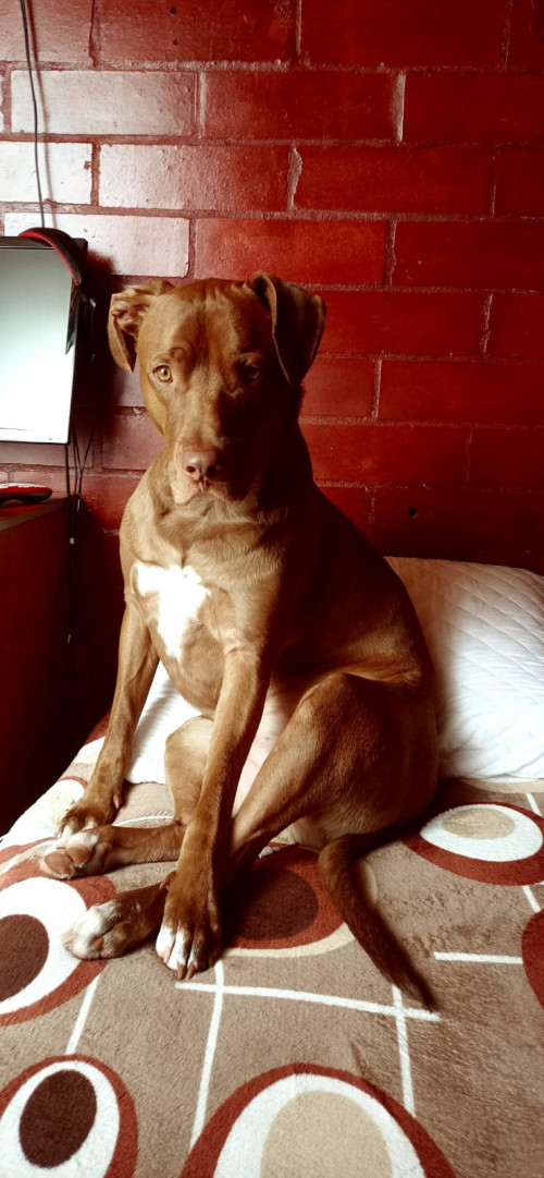 Zeus