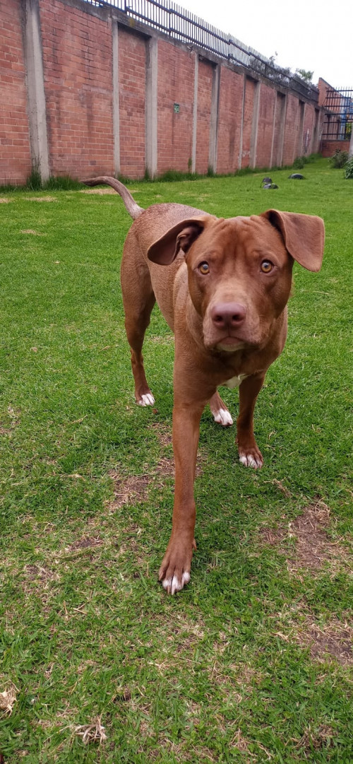 Zeus