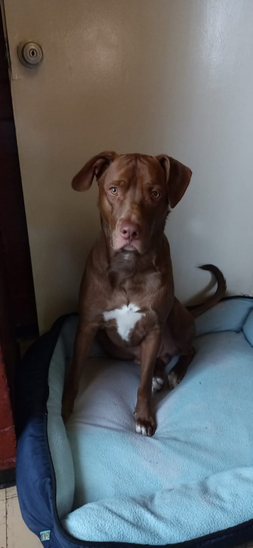 Zeus