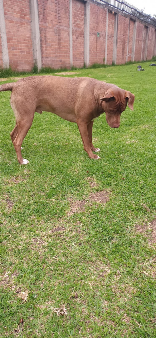 Zeus