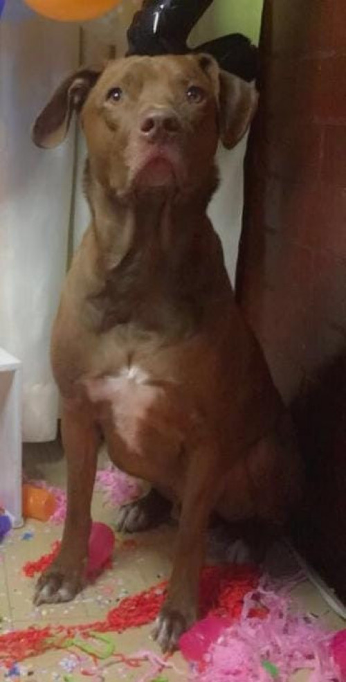Zeus
