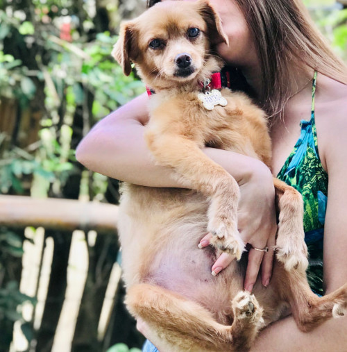 Panchito