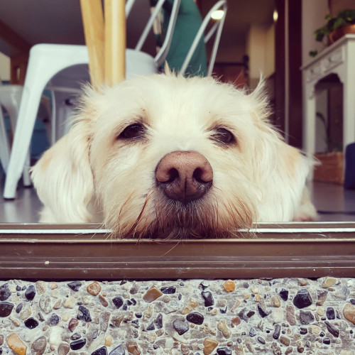 Facundo