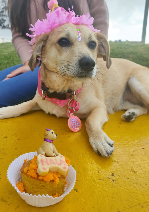 Nala