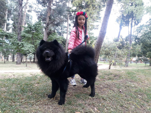 Chelin