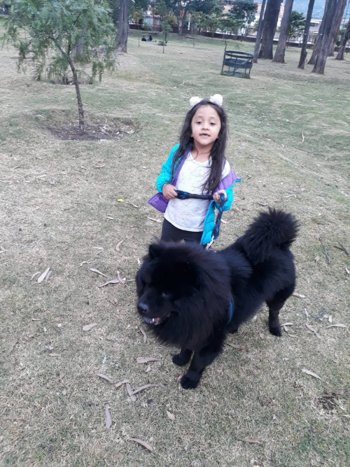 Chelin