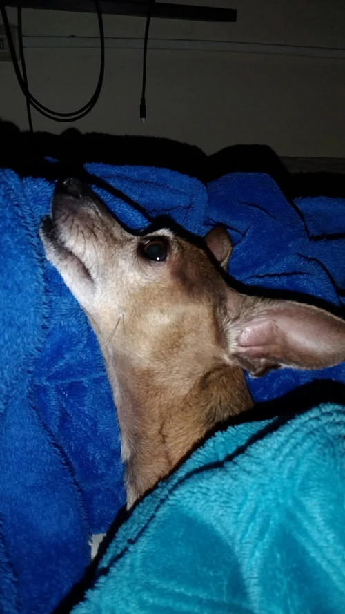 Charlie