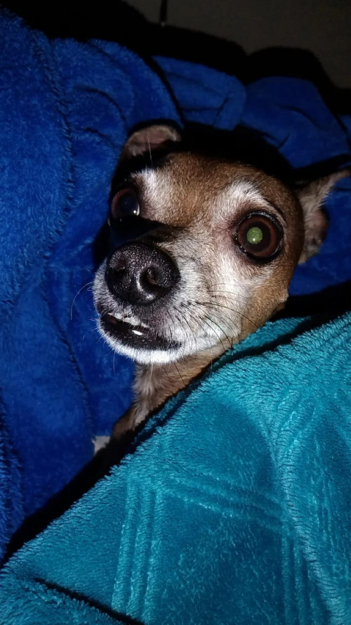Charlie