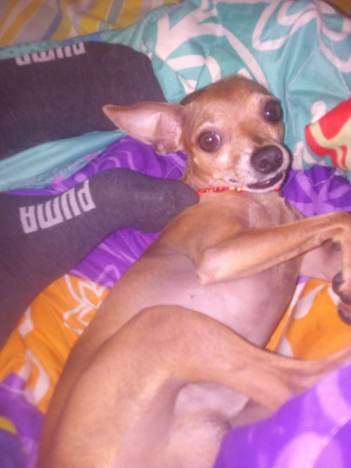 Charlie