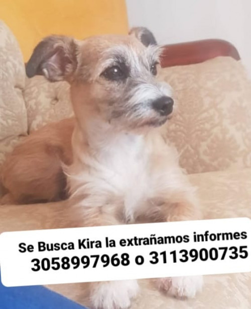 Kira