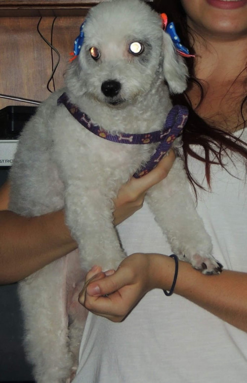 Lupita