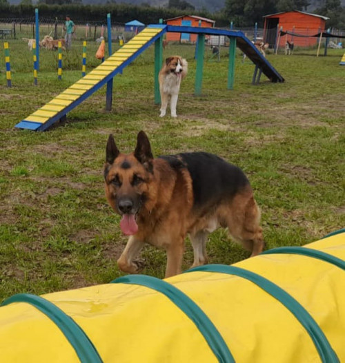 Kenay Y Max