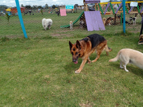 Kenay Y Max