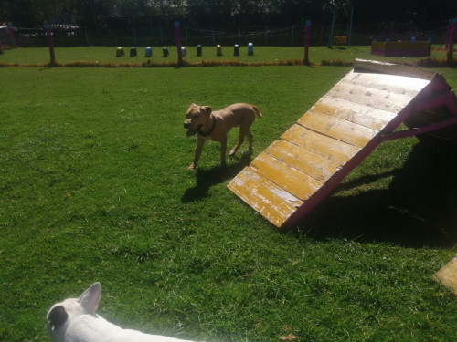 Kenay Y Max