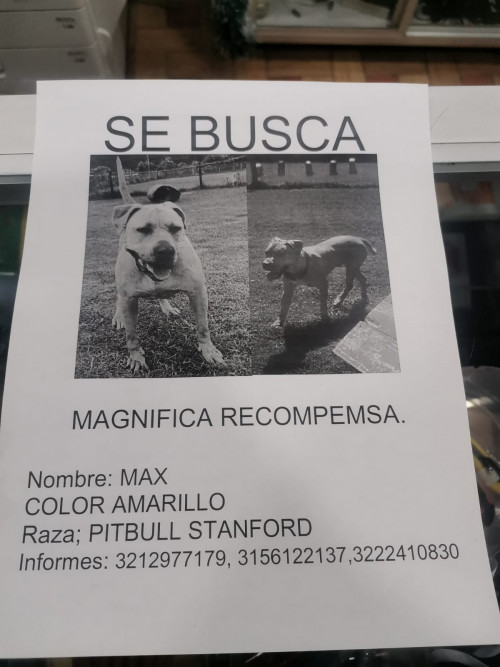 Kenay Y Max