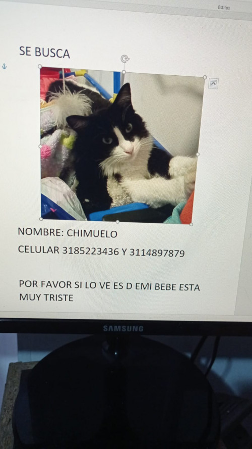Chimuelo