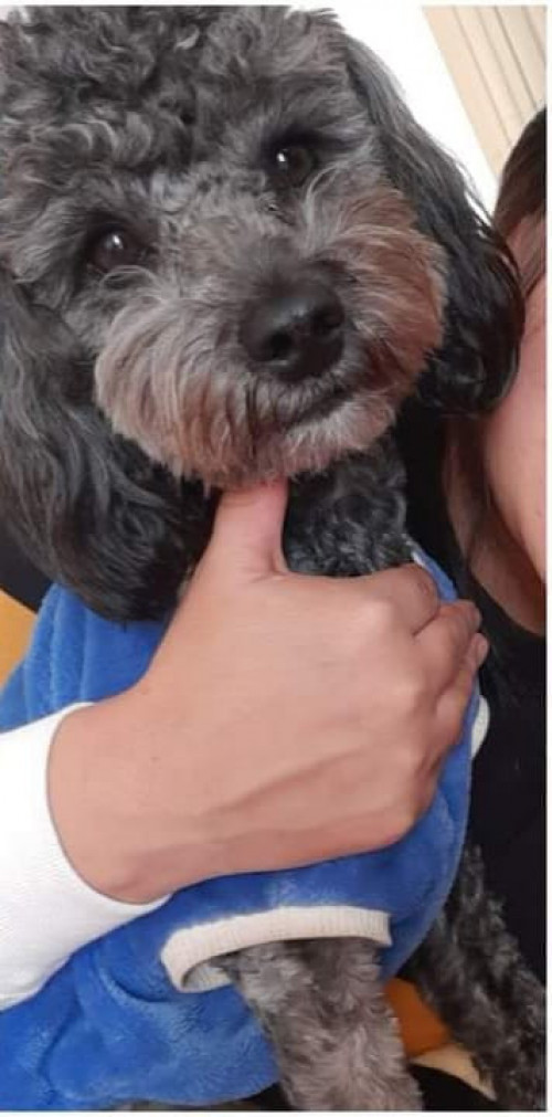 Manolo