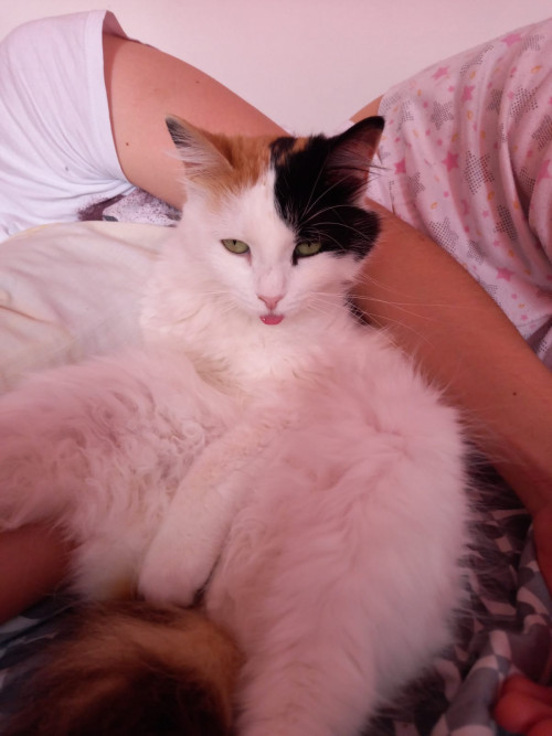 Sammy