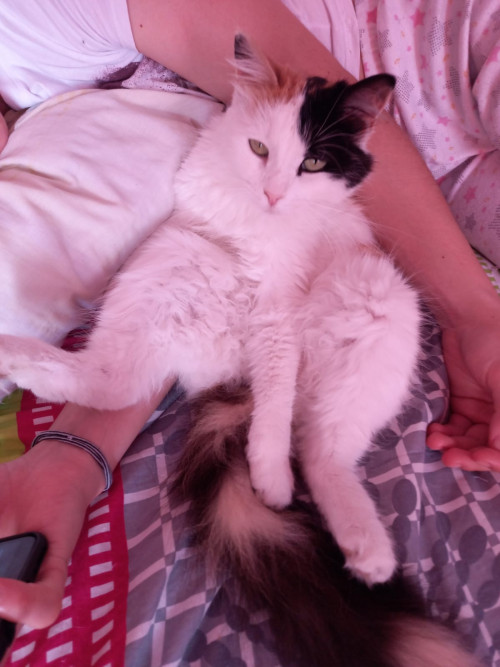 Sammy