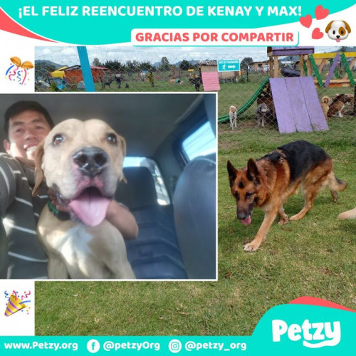 Foto de mascota Kenay Y Max