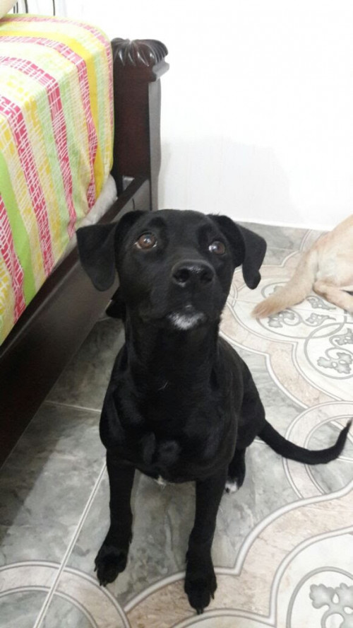 Rita 