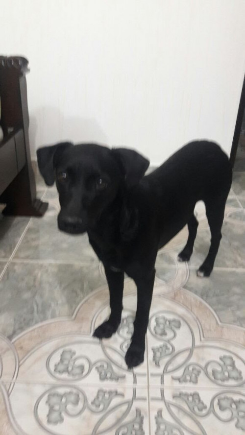 Rita 
