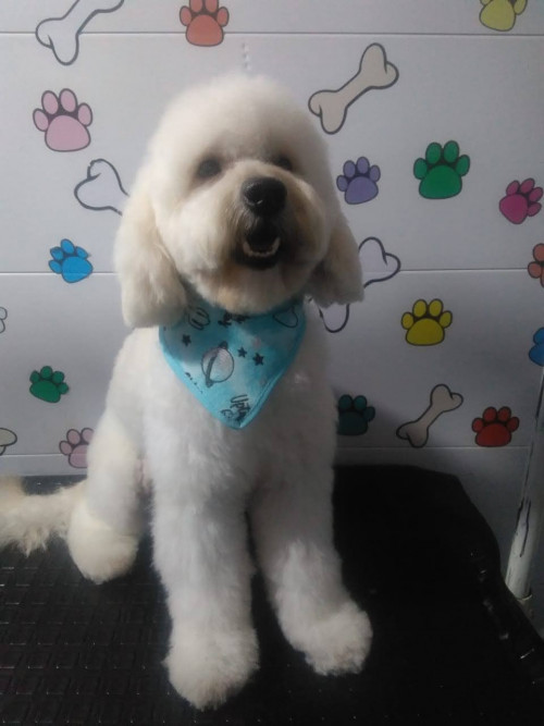 Max