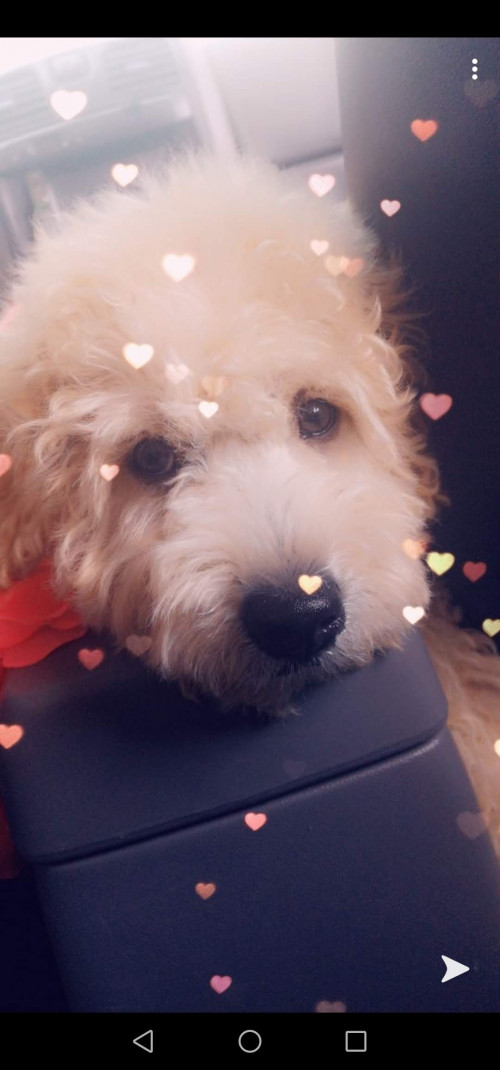 Max