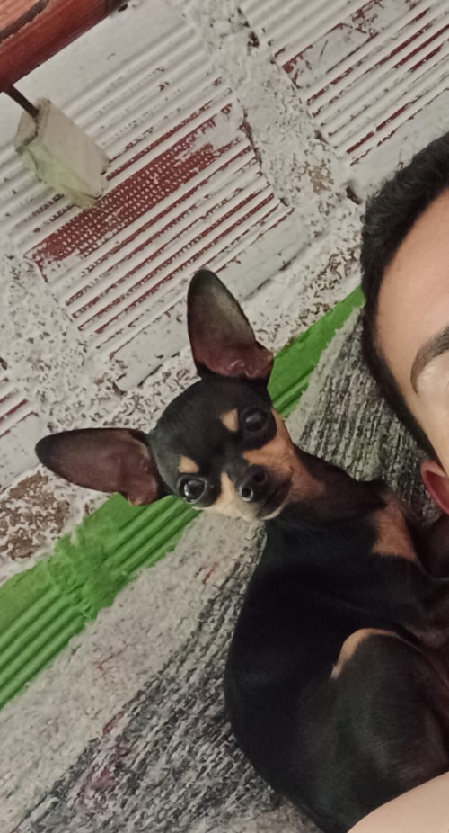Yerri