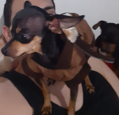 Yerri