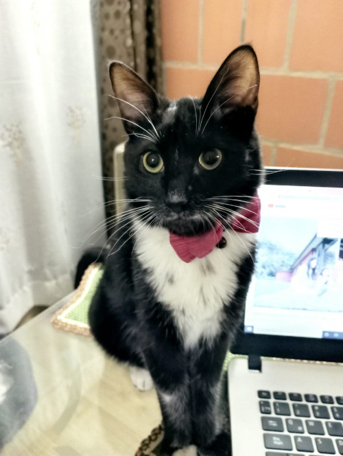 Max